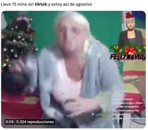 Memes de la caída de TikTok
