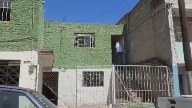 El Colectivo Corazones Unidos continúa con hallazgos de cuerpos en distintos municipios de Jalisco