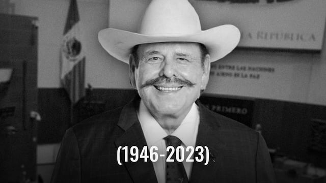 Armando Guadiana Tijerina