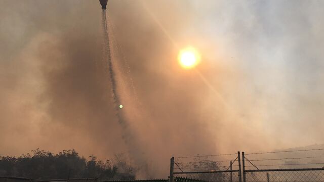 Incendio en Bosque de La Primavera