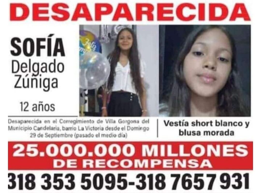 Sofía Delgado: Niña desaparecida en Colombia tras comprar shampoo; Interpol la busca