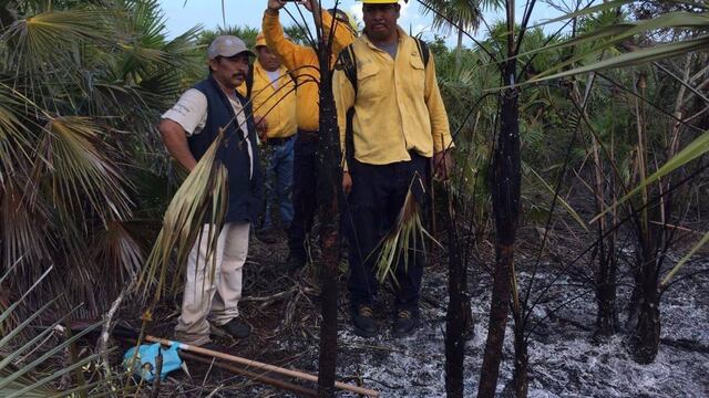 Incendio en Isla Holbox sí fue provocado