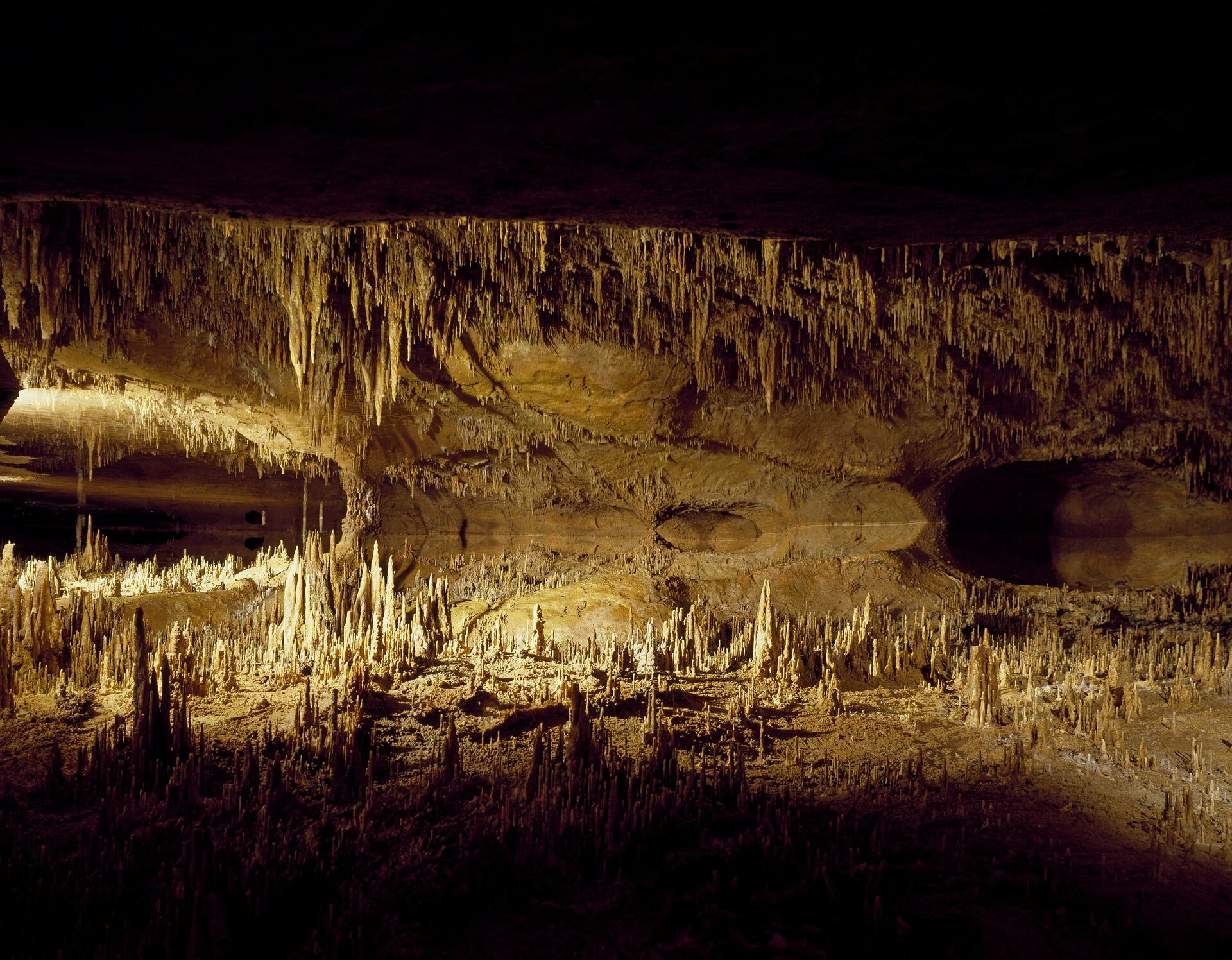 Caverna