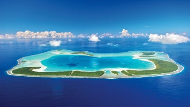 A 10 años de la muerte de Marlon Brando, uno de sus sueños se vuelve realidad.