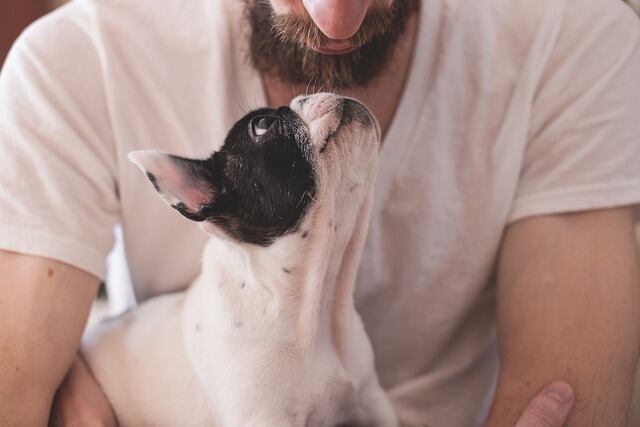 Estas son las 3 razones que señalan el por qué no deberías abrazar a tu perro según los expertos