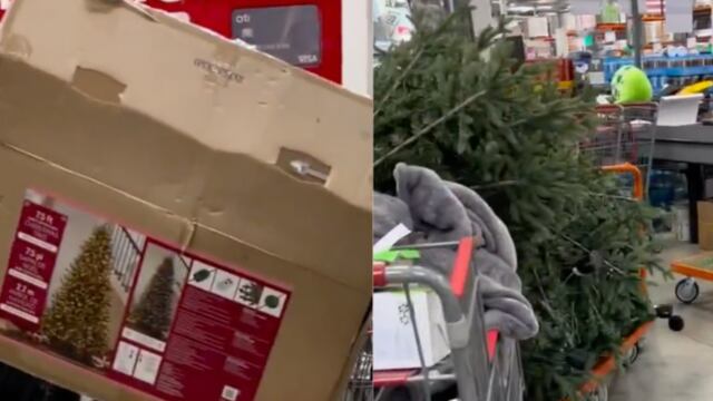Devuelven árboles de Navidad usados en Costco