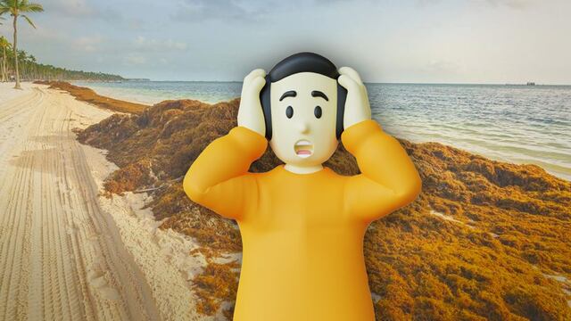 Récord de sargazo en México: La increíble cantidad en el Caribe