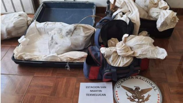 Especies rescatadas por la Guardia Nacional