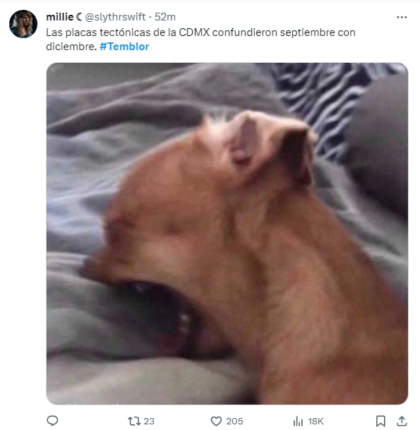 Memes por el sismo del 14 de diciembre