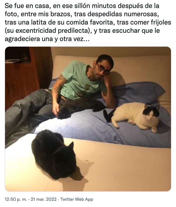 Tuit sobre la muerte del gatito