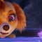 ¿Paw Patrol La Súper Película tiene escenas post créditos? Te decimos por si la verás el fin de semana