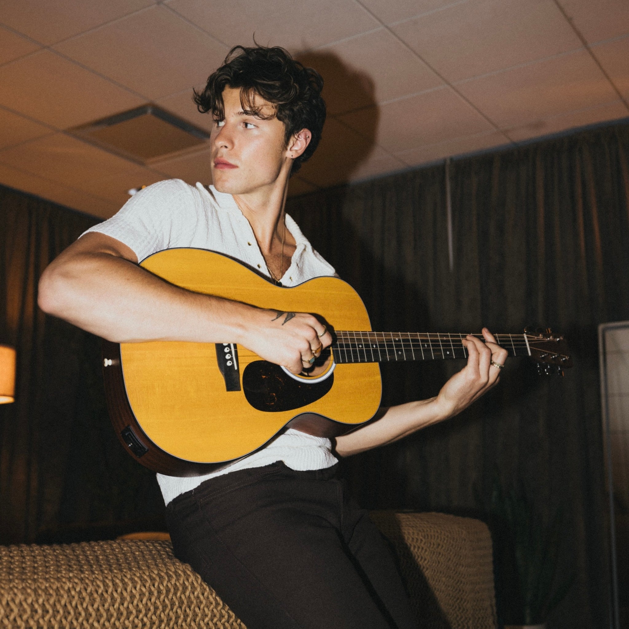 Shawn Mendes, cantante.