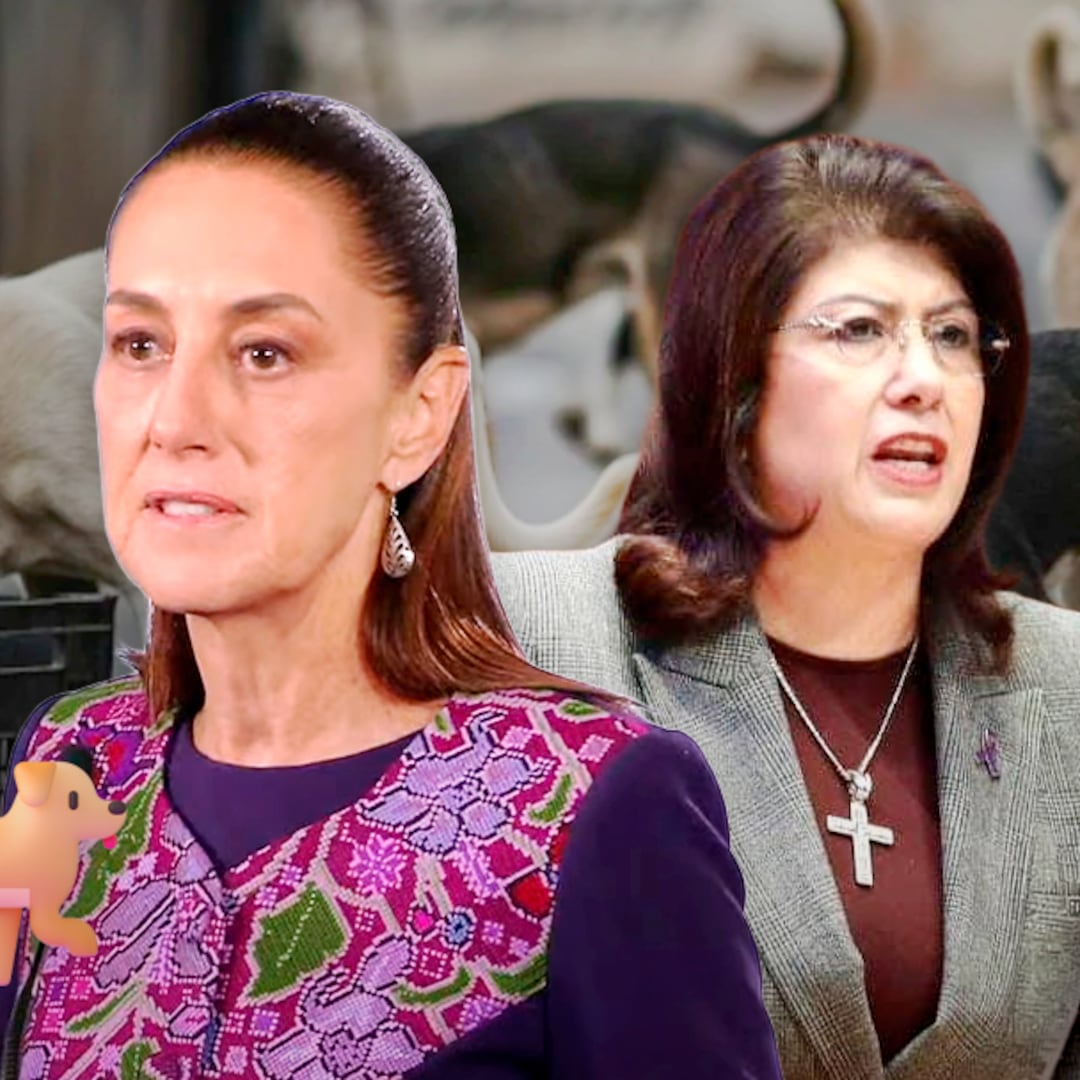 Claudia Sheinbaum habla del caso de perros en Tecámac tras declaraciones de Mariela Gutiérrez
