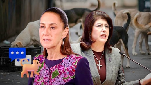 Claudia Sheinbaum habla del caso de perros en Tecámac tras declaraciones de Mariela Gutiérrez