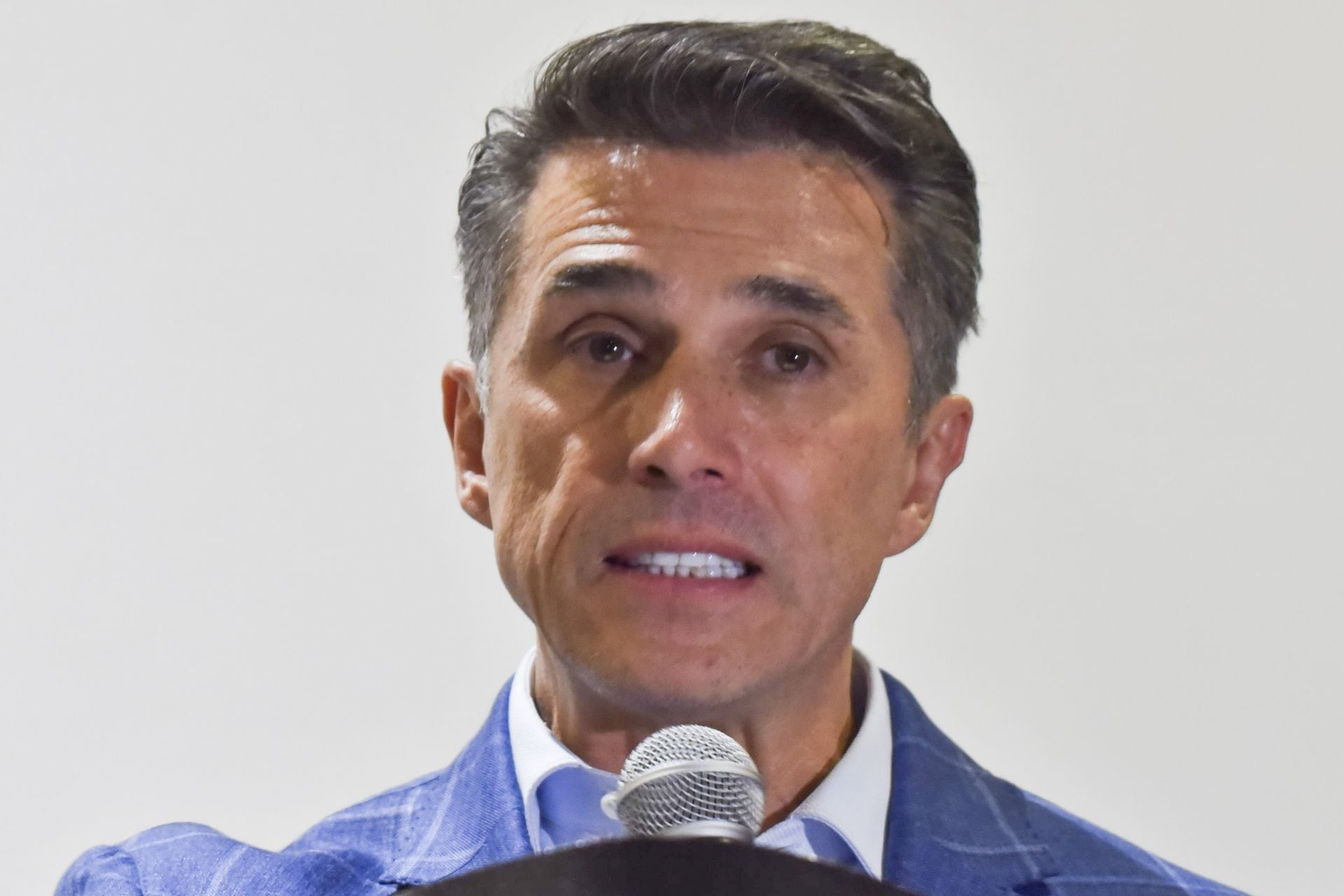 Sergio Mayer, actor.