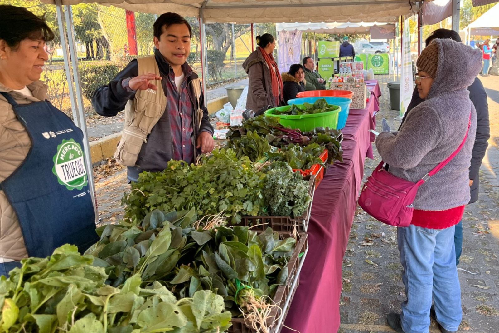 Mercado de Trueque CDMX 2025
