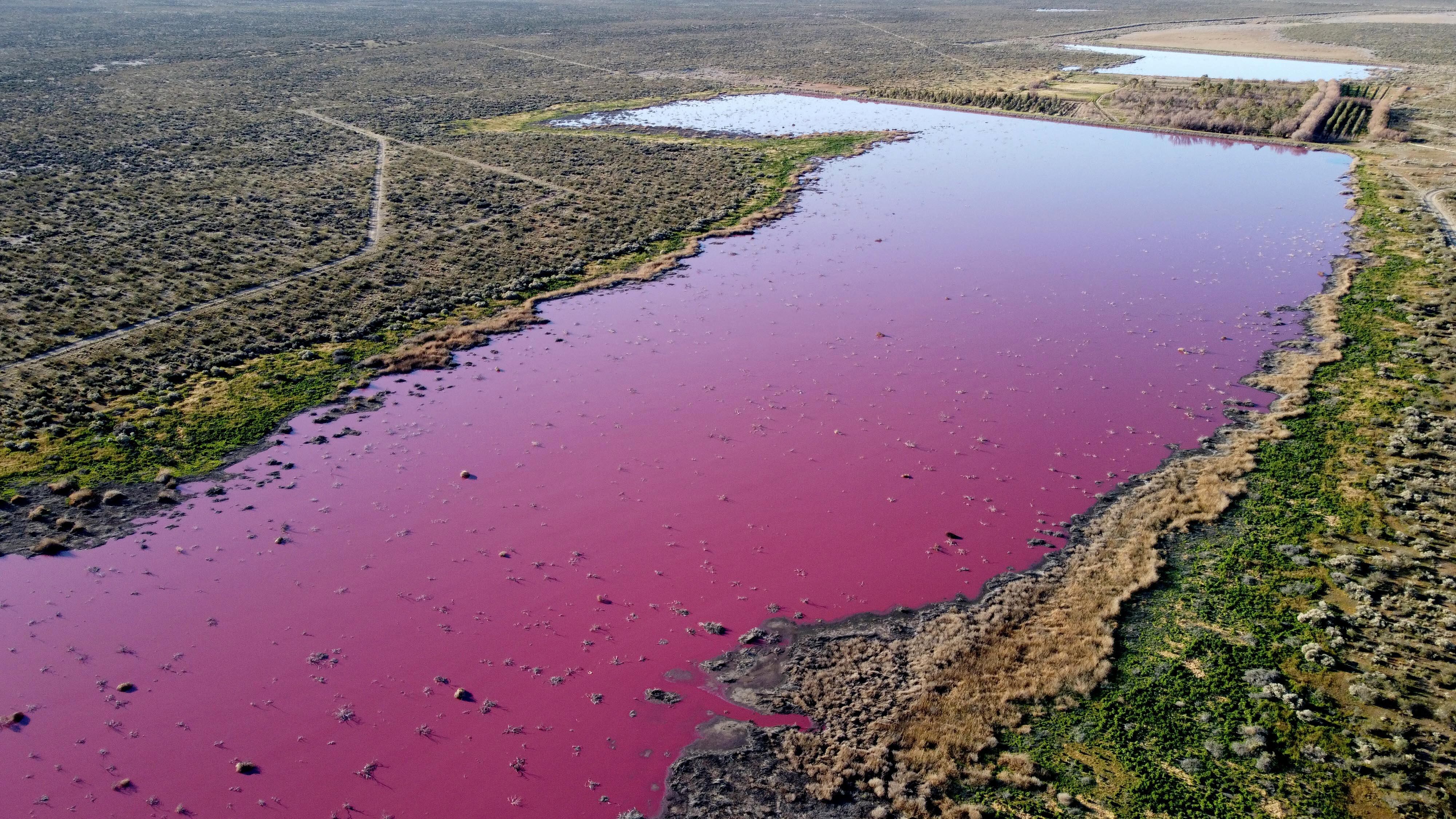 Laguna se tiñe de rosa