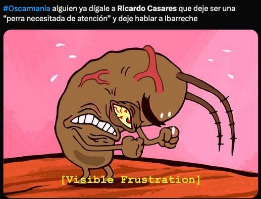 Meme sobre Ricardo Casares interrumpiendo a Javier Ibarreche.