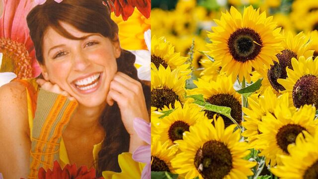 Flores Amarillas es una canción de la telenovela argentina Floricienta. Aquí te contamos un poco de la letra