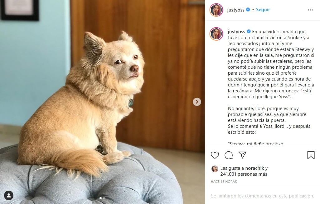 YosStop asegura que al igual que Hachiko, su perro la espera todos los días