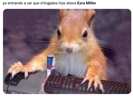 Memes de Ezra Miller