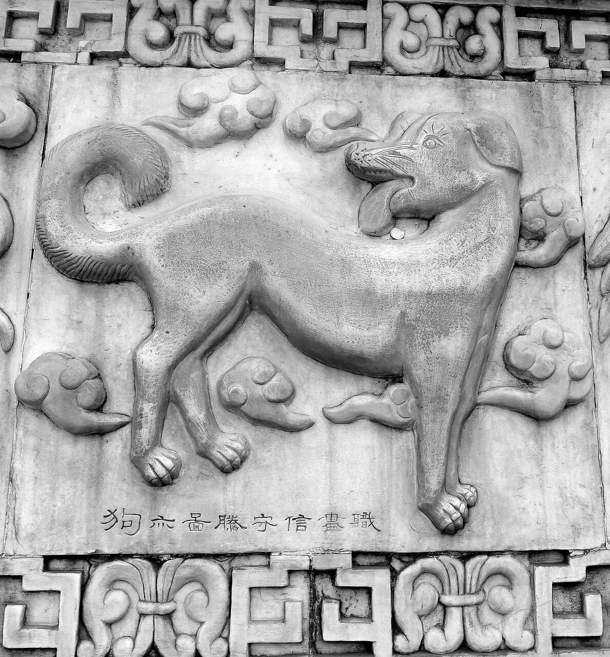 Perro, animal del horóscopo chino