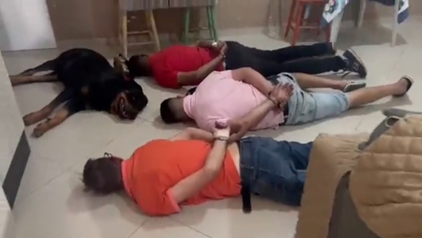 Perro se rinde junto a sus dueños
