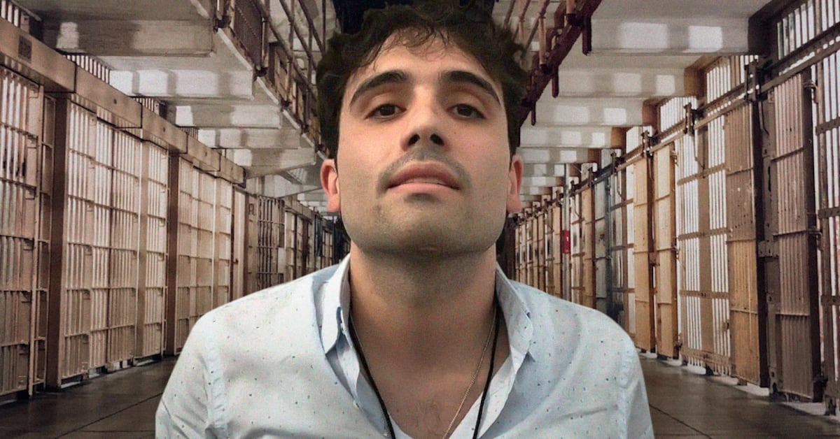 ¿Quién es Ovidio Guzmán López? El hijo del Chapo que pactó un acuerdo ...