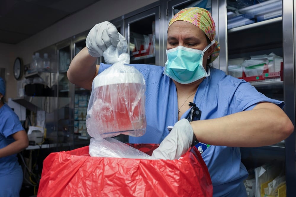 Transplante de riñón de cerdo en Estados Unidos