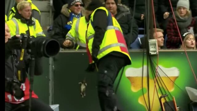 Momento en que los elementos de seguridad tiene que sacar los cadáveres.