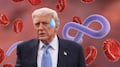 Trump expresa preocupación por el brote de ébola en África