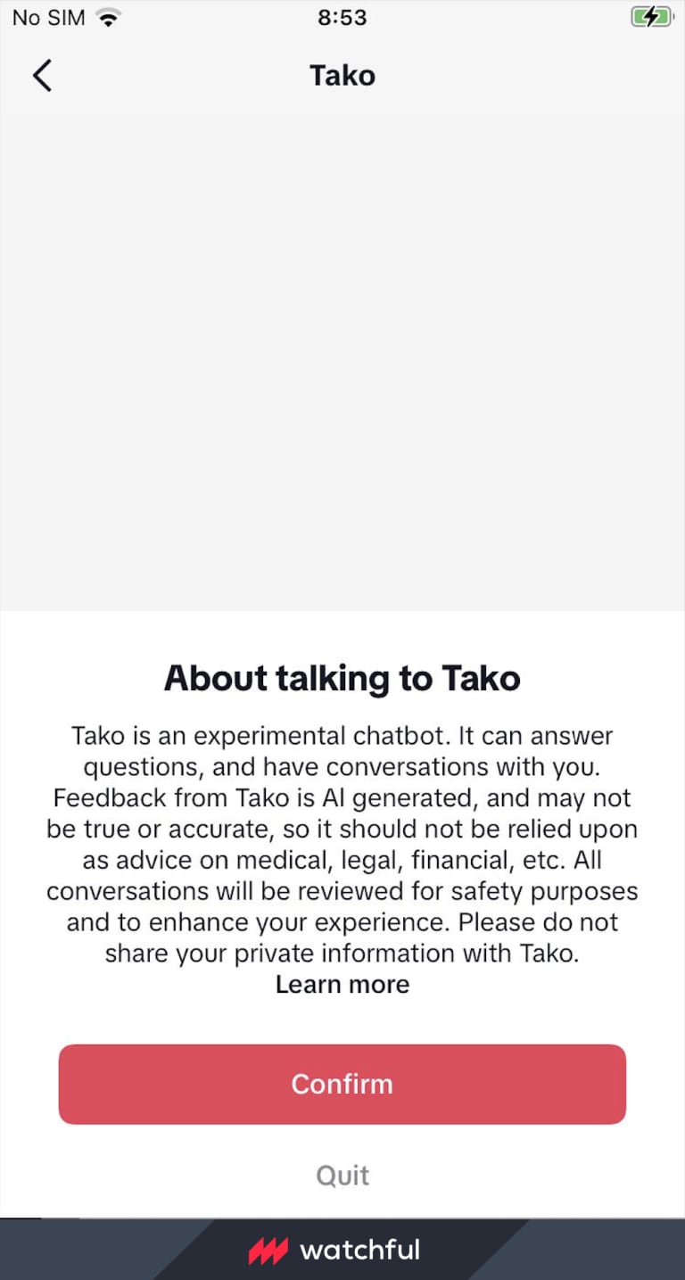 Tako, chatbot de inteligencia artificial de TikTok