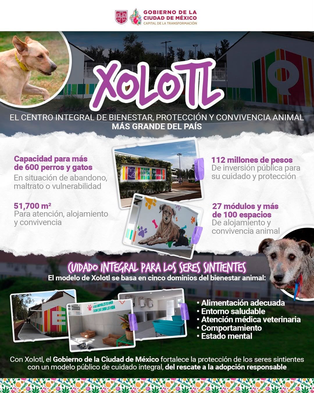 Inauguran Xólotl, nuevo centro de bienestar animal de CDMX en la Alameda Oriente