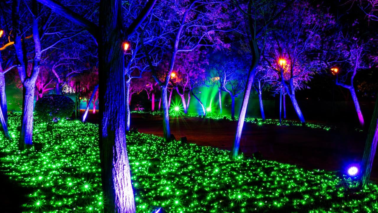 “Alicia en el país de las maravillas” en Parque Lira permitirá inversión de 4.1 mdp: Alcaldía Miguel Hidalgo