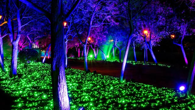 Alcaldía Miguel Hidalgo aclara dudas sobre experiencia inmersiva.