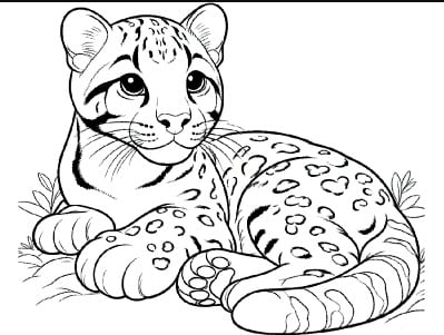 Dibujo Día Internacional del leopardo de la nieve