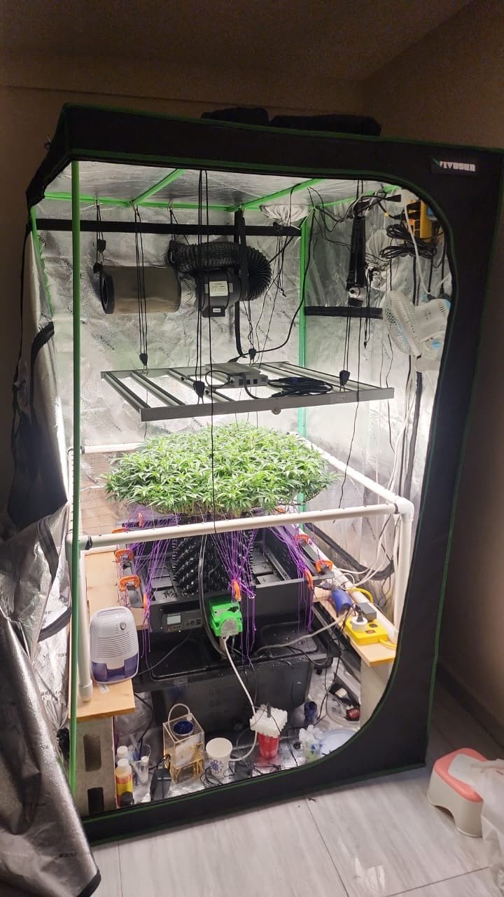 Encuentran laboratorio de marihuana en Huixquilucan