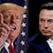 Donald Trump explica cuál es su problema con Elon Musk y si existe una solución