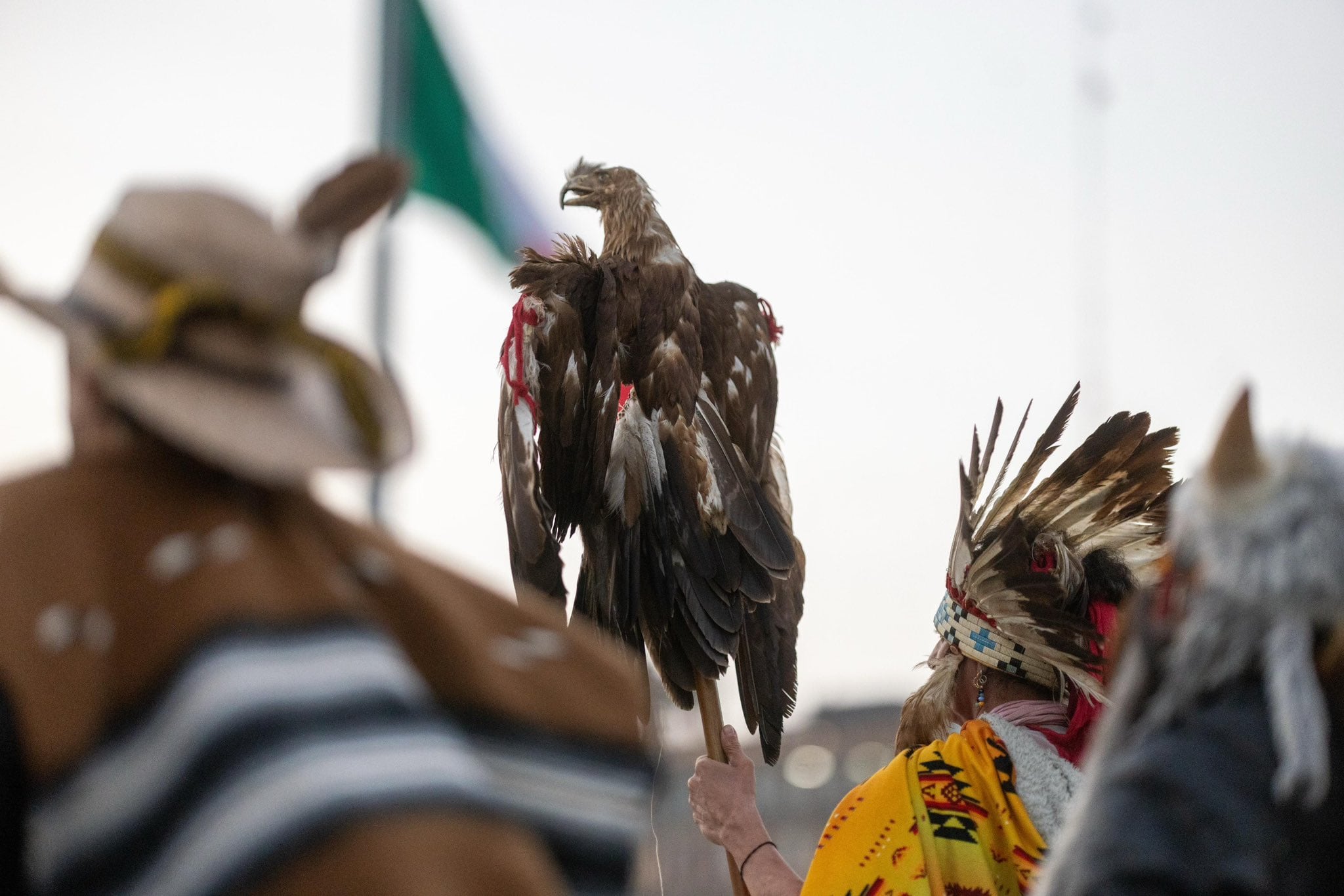 Homenaje a Cuauhtémoc, el último Huey Tlatoani, en el Zócalo CDMX hoy 28 de febrero