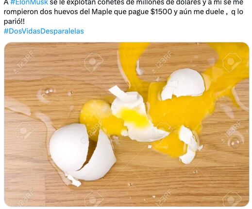 Memes sobre la explosión de Starship se burlan de Elon Musk