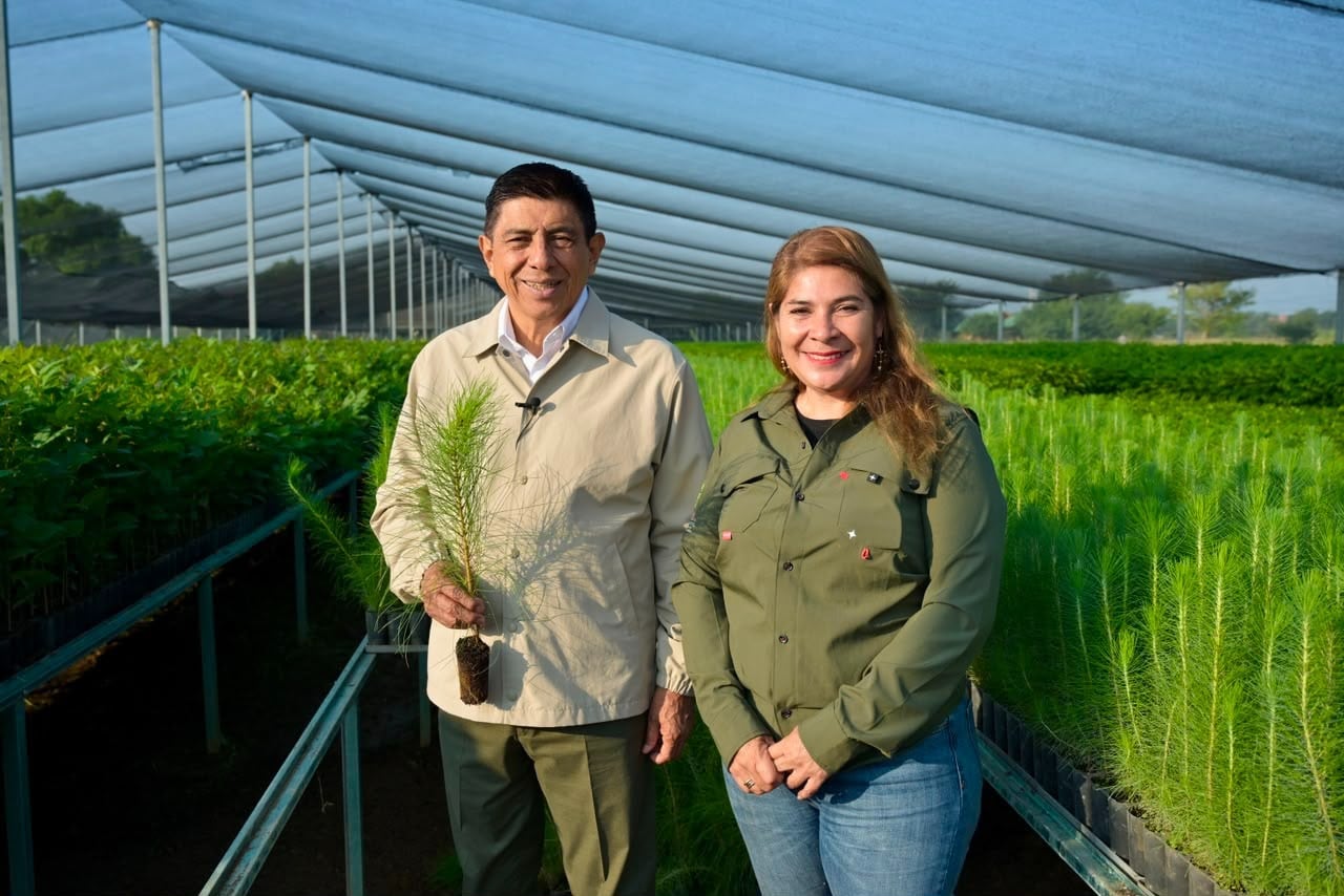 Oaxaca participará en la Jornada Nacional de Reforestación con 17 millones de plantas.