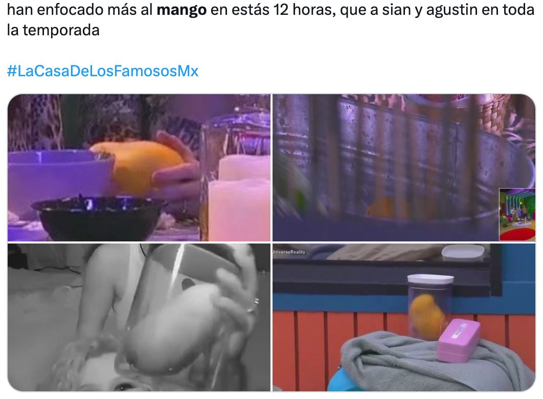 Memes del mango de Briggitte Bozzo en La Casa de los Famosos México 2024