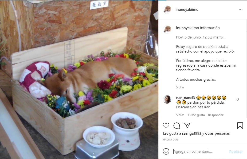 El perrito Ken se hizo famoso por vender camotes en Japón