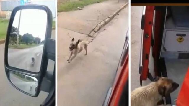 Persigue ambulancia.