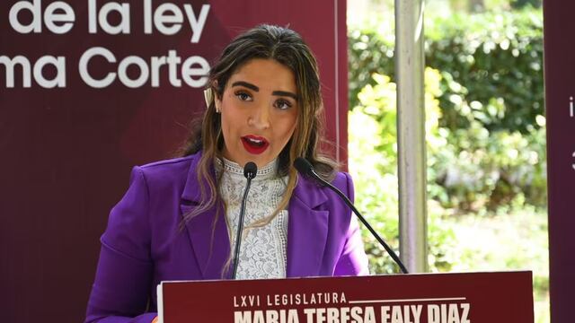Movimiento Ciudadano pide protección para María Teresa Ealy,