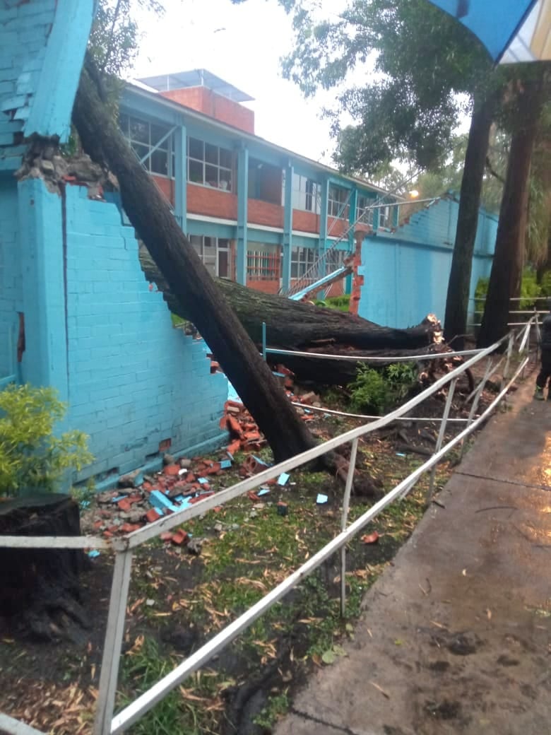 Coyoacán atiende emergencia por lluvias
