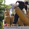 Hombre cayó de 12 metros de altura mientras colocaba un tanque de gas en edificio de la calle Puebla