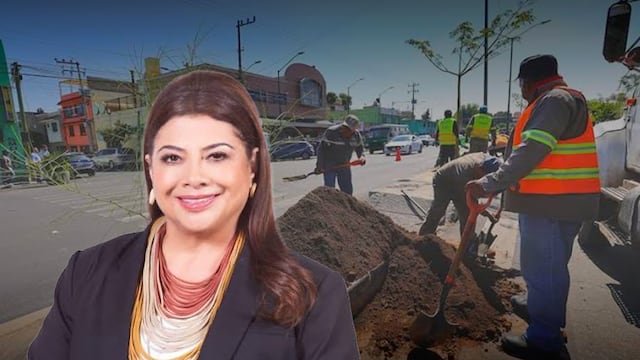 CDMX plantará un millón de árboles para reducir el calor urbano