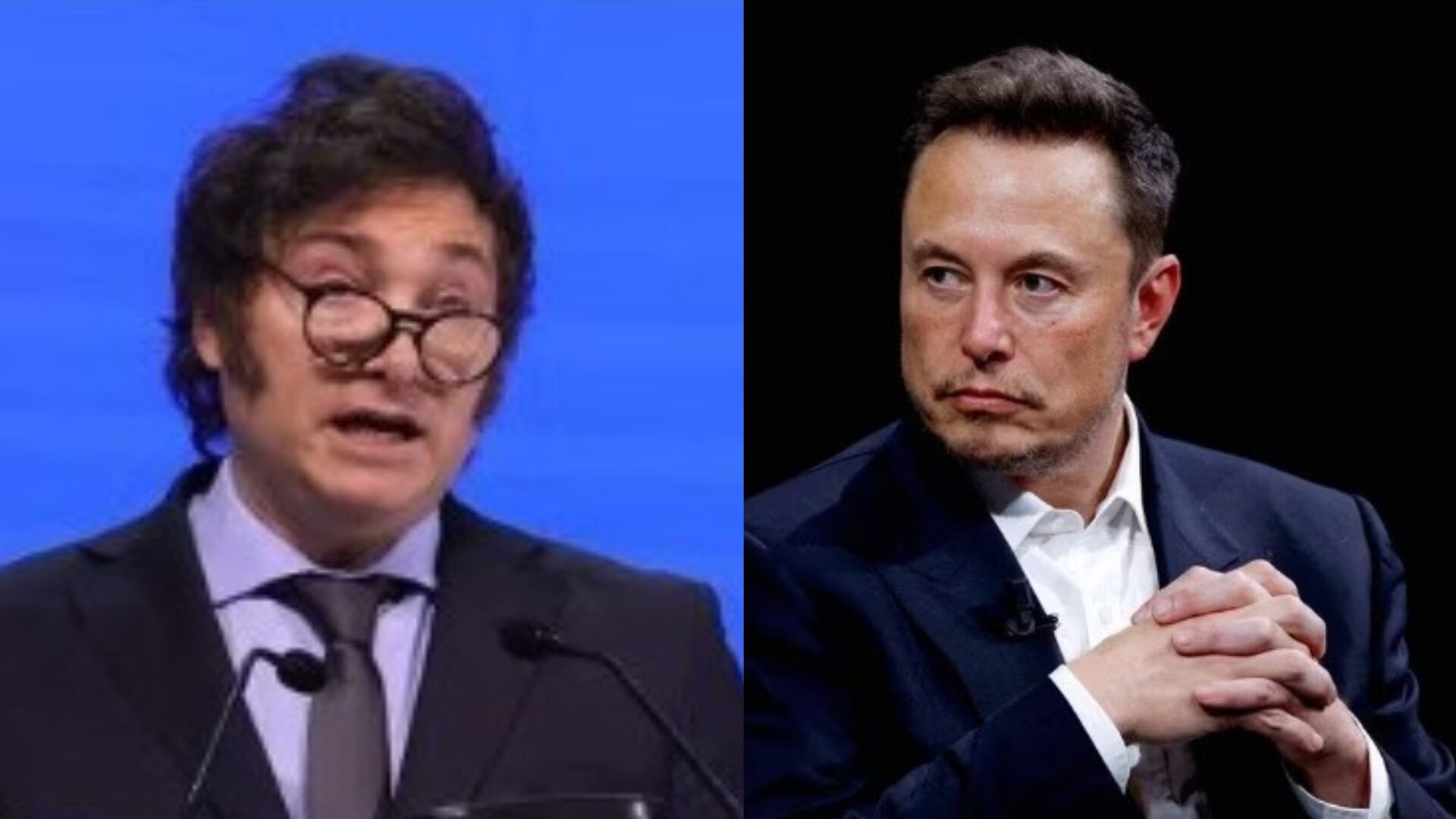 Javier Milei y Elon Musk