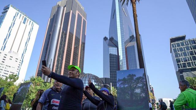 despedida a la Palma de Reforma